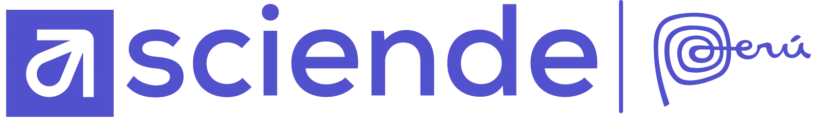 Asciende - Agencia de Marketing Digital